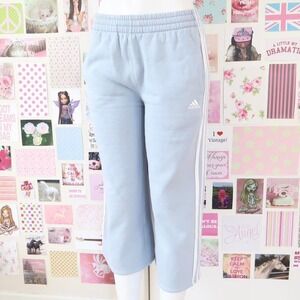 adidas cornflower blue wide leg sweatpants size large